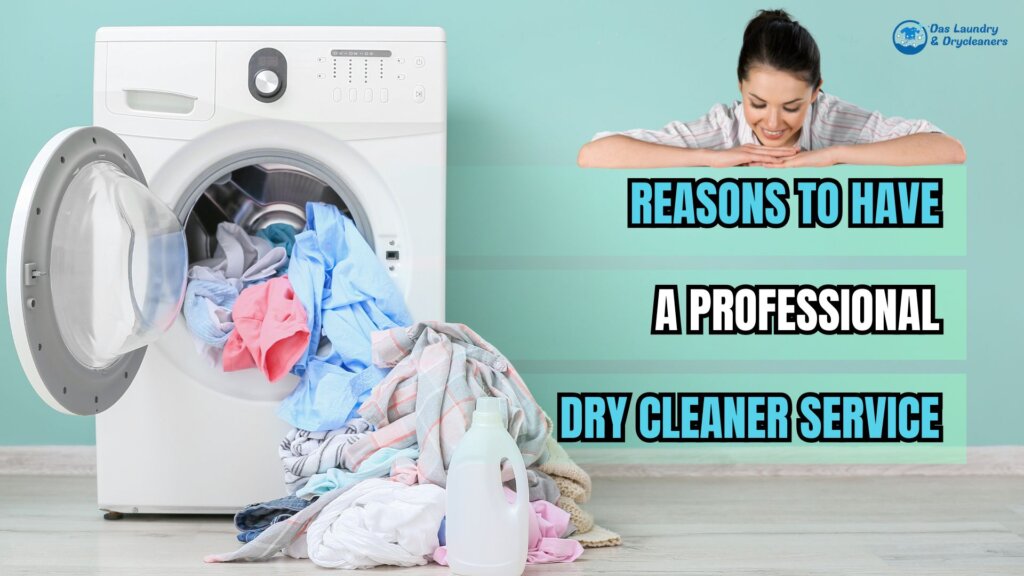 Professional Dry Cleaner